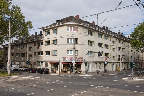 drebusch_koeln_1.jpg