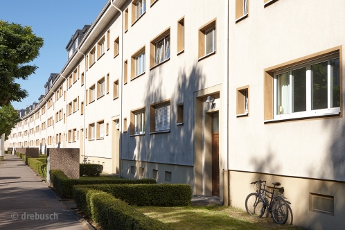 drebusch_koeln_3.jpg